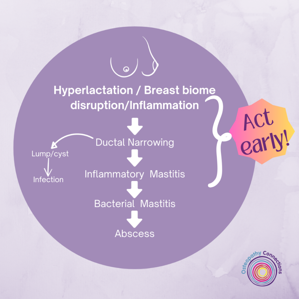 Hyperlactation Dysbiosis